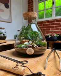 Terrarium végétal artisanal en verre fermé avec plantes naturelles by l'Atelier Végétal de Lulu