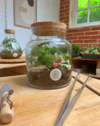Terrarium végétal artisanal en verre fermé avec plantes naturelles by l'Atelier Végétal de Lulu