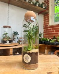 Terrarium végétal artisanal en verre fermé avec plantes naturelles by l'Atelier Végétal de Lulu