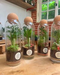 Terrarium végétal artisanal en verre fermé avec plantes naturelles by l'Atelier Végétal de Lulu