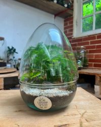 Terrarium végétal artisanal en verre fermé avec plantes naturelles by l'Atelier Végétal de Lulu