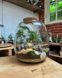 Terrarium végétal artisanal en verre fermé avec plantes naturelles by l'Atelier Végétal de Lulu