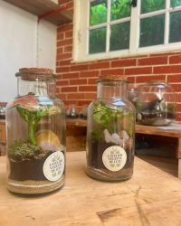 Terrarium végétal artisanal en verre fermé avec plantes naturelles by l'Atelier Végétal de Lulu