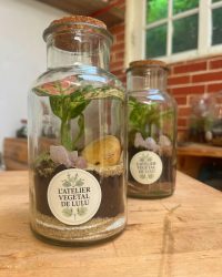 Terrarium végétal artisanal en verre fermé avec plantes naturelles by l'Atelier Végétal de Lulu