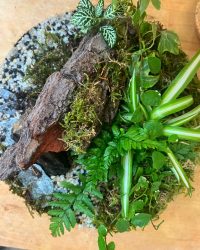 Terrarium végétal artisanal en verre fermé avec plantes naturelles by l'Atelier Végétal de Lulu