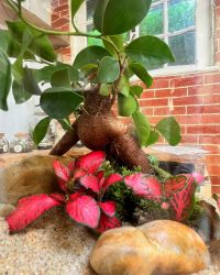 Terrarium végétal artisanal en verre fermé avec plantes naturelles by l'Atelier Végétal de Lulu
