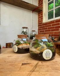 Terrarium végétal artisanal en verre fermé avec plantes naturelles by l'Atelier Végétal de Lulu