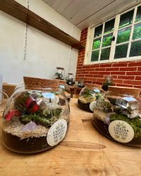 Terrarium végétal artisanal en verre fermé avec plantes naturelles by l'Atelier Végétal de Lulu