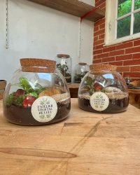 Terrarium végétal artisanal en verre fermé avec plantes naturelles by l'Atelier Végétal de Lulu